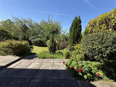 Picture 28